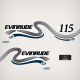 1999-2001 Evinrude 115 hp ficht fuel injection 0285264 Decal Set