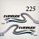 1999-2000 Evinrude 225 hp Ficht Direct Fuel Injection Decal Set White Models
