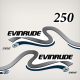 1999 2000 Evinrude 250 hp Ficht Direct Fuel Injection decal set white models