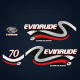 (2) 1999 2000 Evinrude 70 hp 4 stroke (Four Stroke) Silver Version decal set 5031127