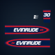 1998-1999 Evinrude Outboard 30 hp Decal Set