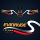 Evinrude 115 Ficht Ram Injection Red version blue models decal set replica 1999 2000 Outboard engine covers.

0214746	 DECAL, Wrap - V,Y,Z. 75FPL, 115FPL, 115FL, 90FPL
0213585	 Rear - Y. 115FPL, FL
0214747	 PLATE, Front 

0285386 ENGINE COVER ASSY.
