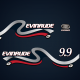 1999-2000 Evinrude 10 hp / 9.9 hp 4 Stroke (Four Stroke) White version Decal Set