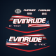 2009 Evinrude 25 hp US Flag Factory decal set Blue Covers