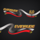 Evinrude 8 hp FourStroke decal set from 2001 Outboards 4 Stroke Engine Covers 8.0 horsepower
Part Reference Number: 0446472 DECAL Wrap 8R Model
Model E8R4SIE E8RL4SIE E8RVL4SIC
0445131 0445135 ENGINE COVER ASSY
