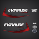 2011-2014 Evinrude 25 hp E-TEC Decal Set Graphite Models 