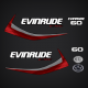2015-2016 Evinrude 60 hp E-TEC decal set Graphite Models 