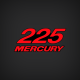 1999 2000 2001 2002 2003 2004 Mercury 225 hp Decal set Red rear EFI 2 Stroke

824105A00 DECAL SET  225 BLACK LONG) (2000 thru 2001 824105A95