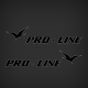 Pro-line logo Decal Set with Outline-Silver-Black