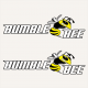2006 Bumble Bee Boat Hull Decal Set 
bumble bee boat logo 
port Side hull sticker
Starboard Side boat hull graphic