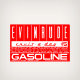 1960 A CDN Evinrude Cruis A Day 6 U.S. GALLONS Gasoline Fuel Tank decal*