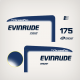 1998 Evinrude 175 hp Ficht Ocean Pro Decal Set

0285117 0285118 0285066 0285067