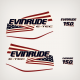 2004 2005 2006 2007 2008 2009 2010 2011 2012 2013 2014 Evinrude 150 hp H.O. E-TEC Flag Decal Set White engine covers