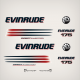 2006 Evinrude 175 hp Direct Injection Decal Set White Models