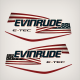 2007-2017 Evinrude 115, 135 HP flag Decal Set E-TEC White Models