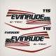 2007-2017 Evinrude 115 hp flag Decal Set E-TEC White Models
