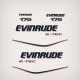 2009 2010 2011 2012 2013 Evinrude 175 hp E-TEC Decal Set white engines *