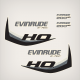 2011 2012 2013 2014 Evinrude 200 H.O. E-TEC Decal Set White Models Custom Black