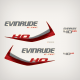 2011 2012 2013 2014 Evinrude 40 H.O E-TEC Decal Set White Models hp horsepower decals sticker stickers replica 40ho 40hp outboards outboard etec