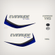 Blue
AF 2015 Evinrude 115 hp Decal Set E-TEC White Models 0216443 0216423 0216424 0216425 0216427 0215896
outboard decals stickers 