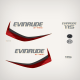 AF 2015 Evinrude 115 hp Decal Set E-TEC White Models 0216443 0216423 0216424 0216425 0216427 0215896
outboard decals stickers 