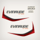 2014 Evinrude 200 E-TEC Decal Set White Models *