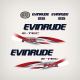 2011 2012 2013 Evinrude 25 H.O. ETEC decal set White covers 0215816, 0215817 0216011 0216012 0215988 0215986 0215558