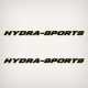 Hydra-sports boat decals domed hydrasports stickers hydra sports boats hull decal custom sticker gold black You are purchasing 2 vinyl printed, laminated, and cut to the shape. Made from 2007 2900 Vector CC. Size: 44x2.5 Inches overall See option below se